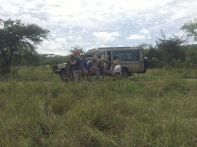 10 Days Migration Serengeti Safari Tour