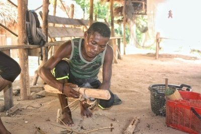 Taman Negara National Park with Canopy Day Trip (SIC )