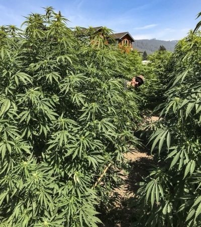 Full Day Farm Tour
