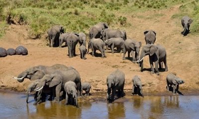 13 Days Tanzania safari with Zanzibar