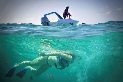 Adventure Speed Boat Jungle Tour with Transportation 1:00pm