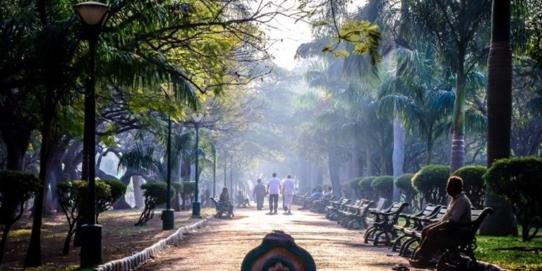 Bengaluru Unveiled: A Journey through the Garden City