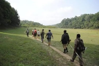 Wilderness & Culture: One Day Tour of Thekkady with Jeep