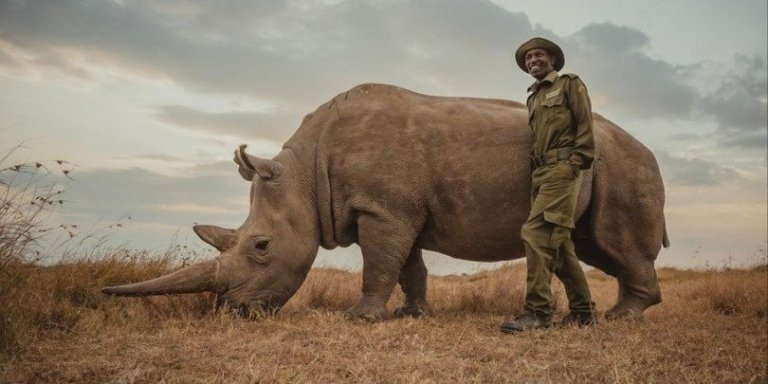 Ol Pejeta Day Trip into the Wild