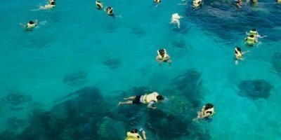 Boat Trips & Charters