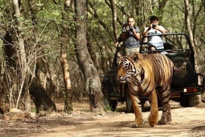 Golden Triangle Tour With Ranthambore