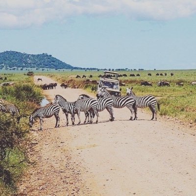 5 DAYS  TARANGIRE , SERENGETI, NGORONGORO CRATER AND LAKE MANYARA