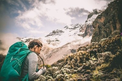 10 DAYS TOUR PROGRAM KILIMANJARO CLIMB AND SAFARI