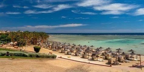4.5-Hour Marsa Alam: Elite VIP Turtle Bay Snorkeling With BBQ Lunch