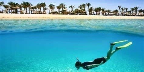 5-Hour Marsa Alam: Snorkeling Boat Trip With Sea Turtles And Lunch