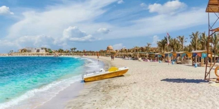 10-Hour From Hurghada: Snorkeling Trip In Abu Dabbab With Transfers
