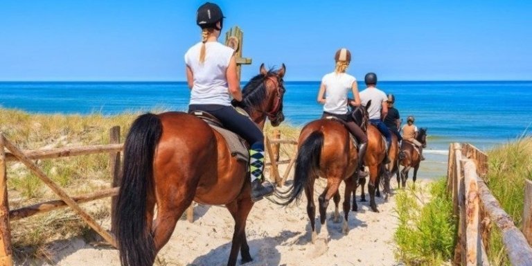 3-Hour Sea And Desert Horse Riding Tour In Marsa Alam