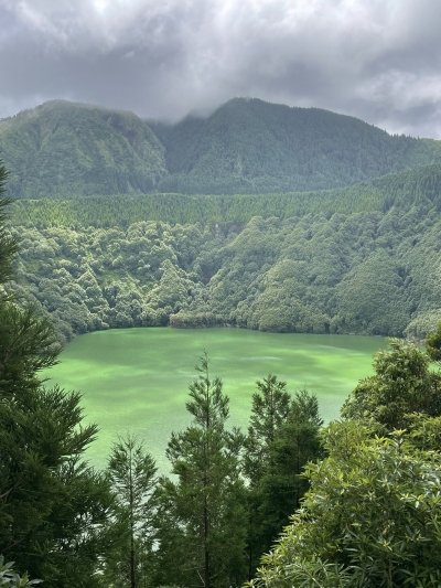Sete Cidades, Lagoa do Fogo - volcanic lakes. Private van tour