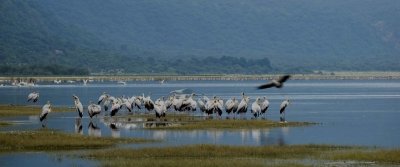 4 DAYS ASCENT OF OL DONYO LENGAI