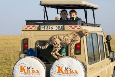 NGORONGORO CRATER DAY TOUR