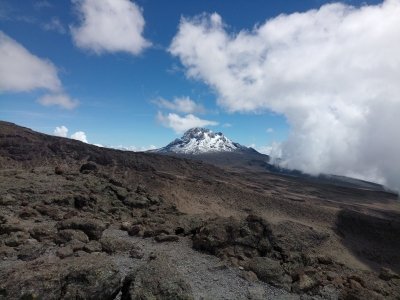 MOUNT KILIMANJARO  DAY HIKING