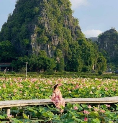 Full day to Bai Dinh - Trang An - Mua Cave with Lunch and Electric Car