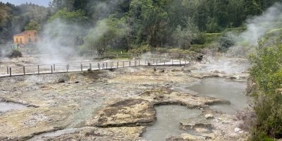 Furnas valley, Gorreana tea factory – island gems. Private van tour