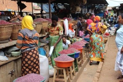 10 DAY UGANDA-RWANDA TRIP.