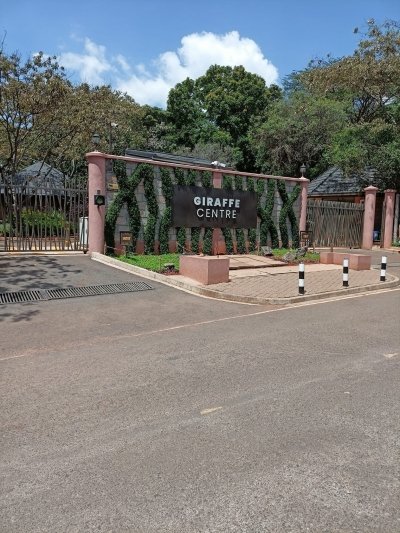 Giraffe Centre and Karen Blixen Half Day Tour