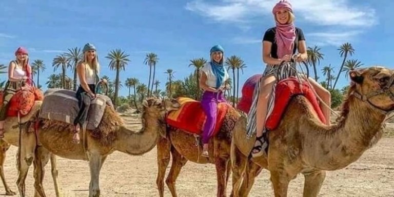 Marrakech Camel Ride at Sunset