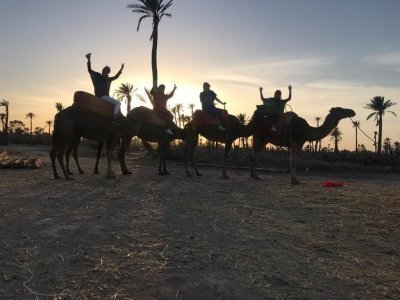 Marrakech Camel Ride at Sunset