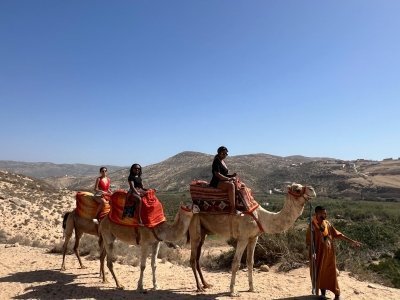 Sunset Camel Ride with BBQ Dinner & Transfer