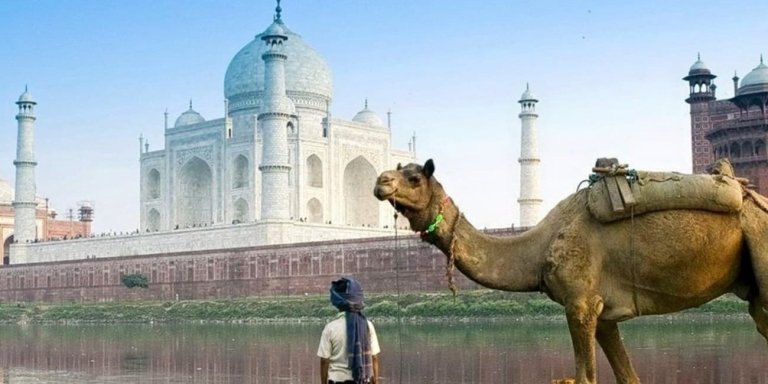 Private Taj Mahal And Agra Fort Tour By Car From Jaipur