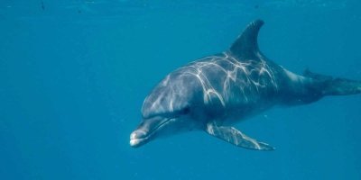 Full Day Private Zanzibar Tour with Sunset Beach