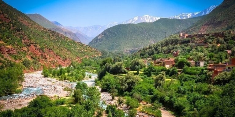 Full-Day Marrakech to Ourika Valley Private Tour