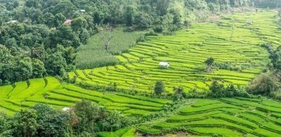 Bangkok Northern Thailand Loop