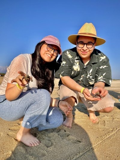 Full Day Turtle Release and Bioluminescence Tour