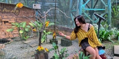 Amusement Park Tickets