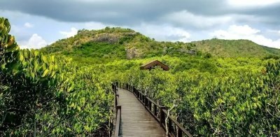 Motorcycle tour from Bangkok to Phuket