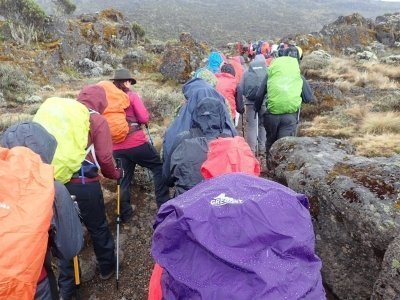 Trekking/Climbing Mt Kilimanjaro 6 Days via Marangu Route