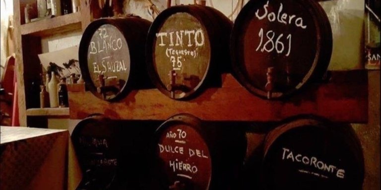 Vineyard & Wine Tasting Private Tour in Tenerife