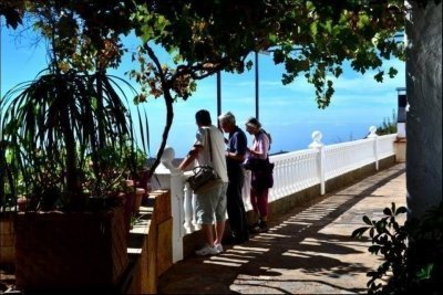 Vineyard & Wine Tasting Private Tour in Tenerife