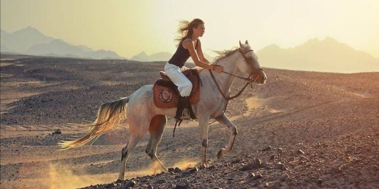 Horse riding 2 hours in hurghada