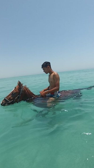 Horse riding 2 hours in hurghada