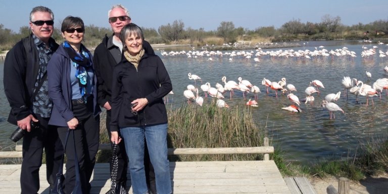 The flamingos and traditions of Camargue Nature Park