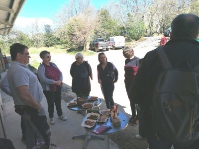 Food tour in the Southern French countryside from Nîmes