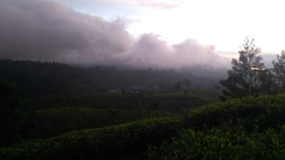 Kingdoms, Hill Stations, Beaches and Wild life