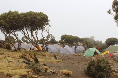 7 Days Machame Route Kilimanjaro Climb