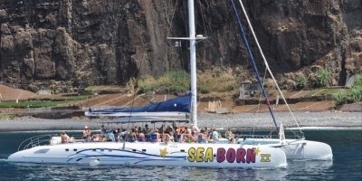 Seaborn Catamaran Dolphin and Whale Watching