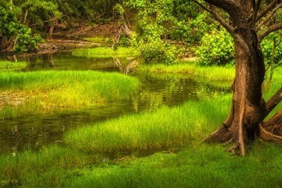 Photography Tour on East Hawaii Island