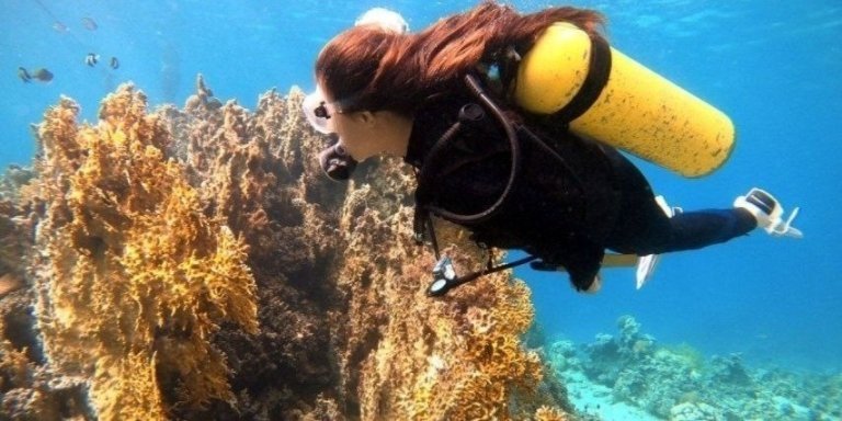 40-Minutes From Sharm El Sheikh: Sharks Bay Scuba Diving Trip