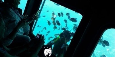 Semi Submarine trip 2 hours