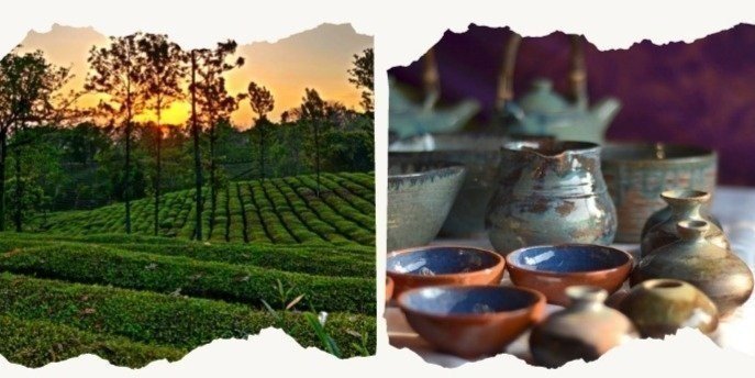 Kangra Valley Day Trip - TEA GARDEN TOUR & KANGRI DHAM, BAIJNATH SHIV