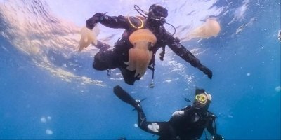 Introduction to Eco-Diving