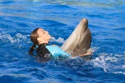 Dolphin show in hurghada